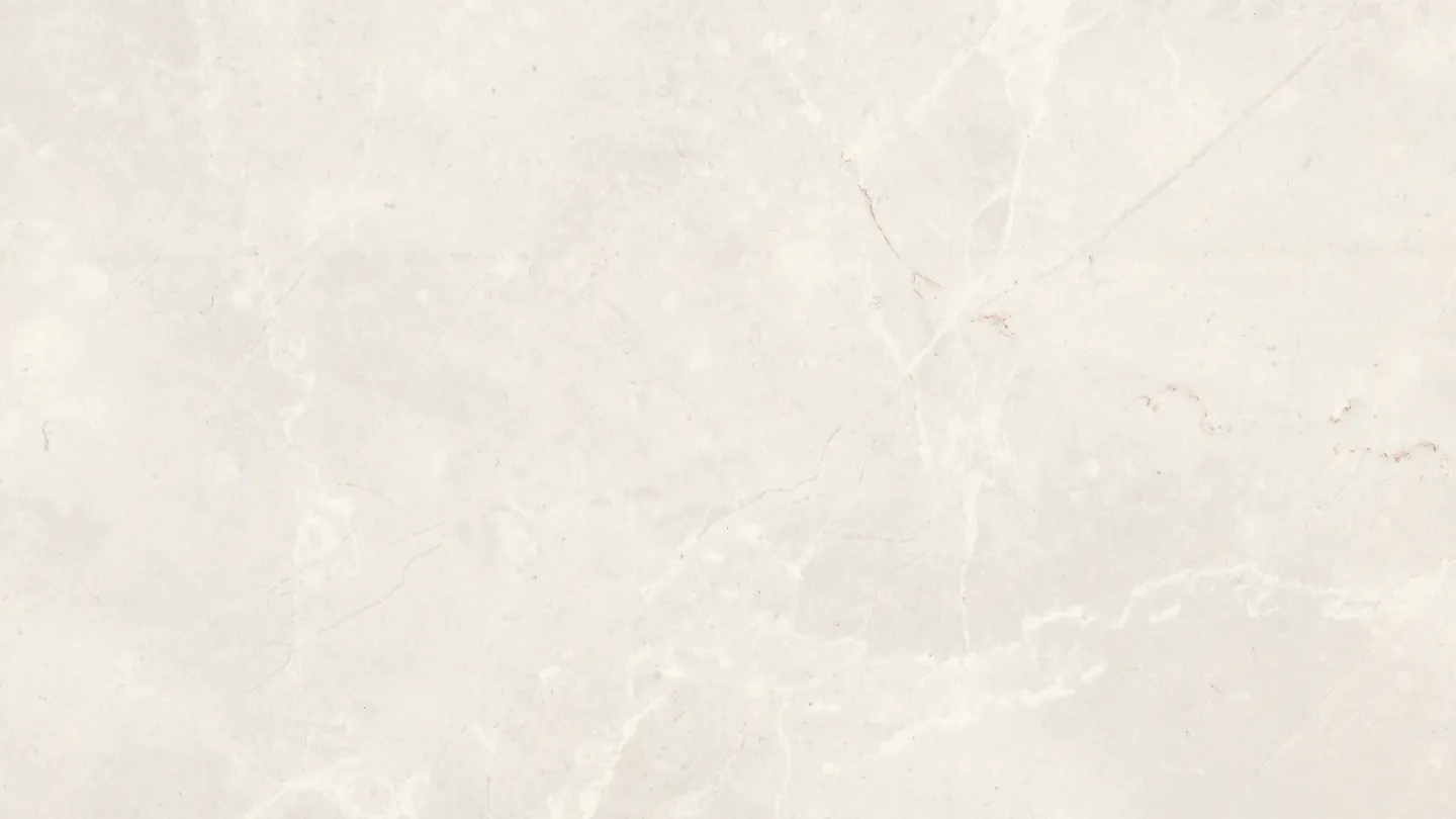 Pale silvered driftwood texture, cool light grey-beige.