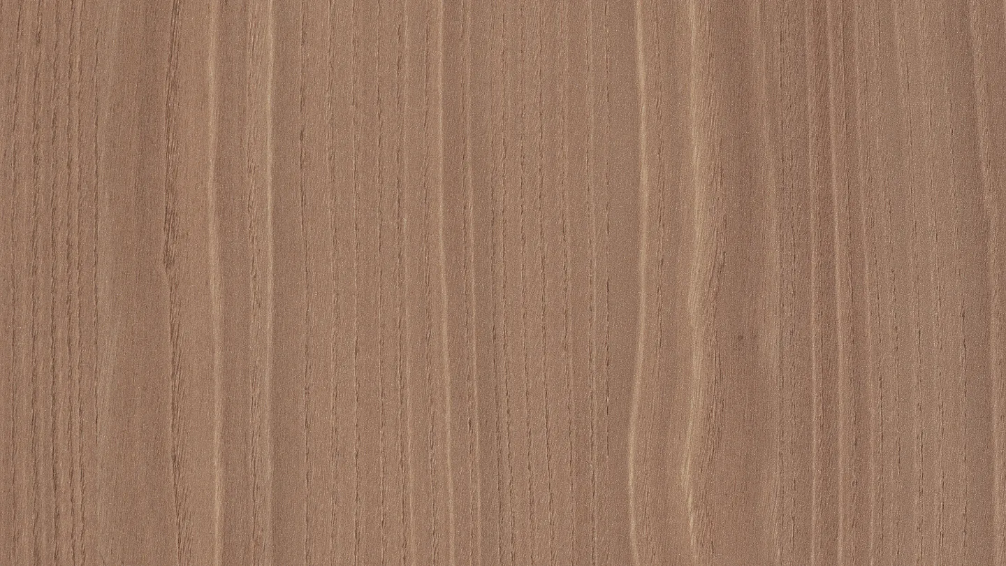 Detailed photograph of light ash wood veneer texture, linear grain, blonde and grey tones.