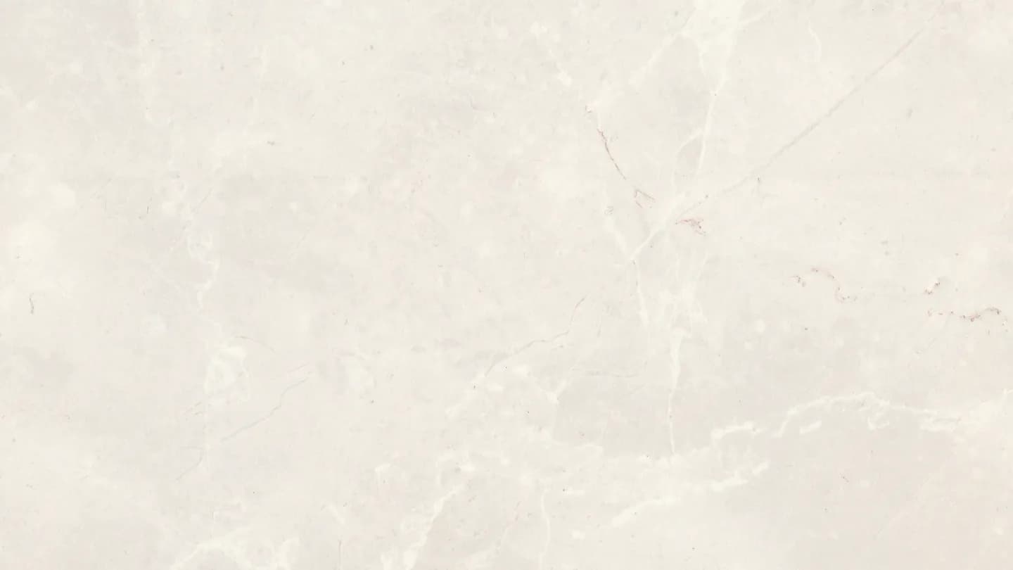 Pale silvered driftwood texture, cool light grey-beige.
